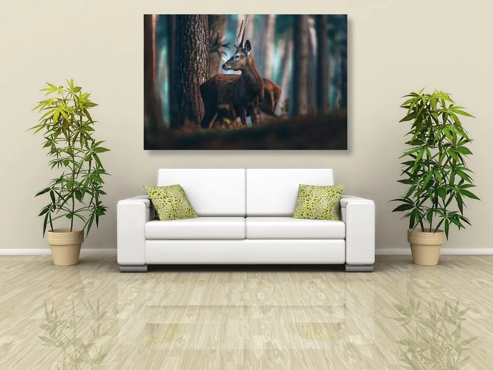 Quadro su tela – Cervo nella foresta di pini