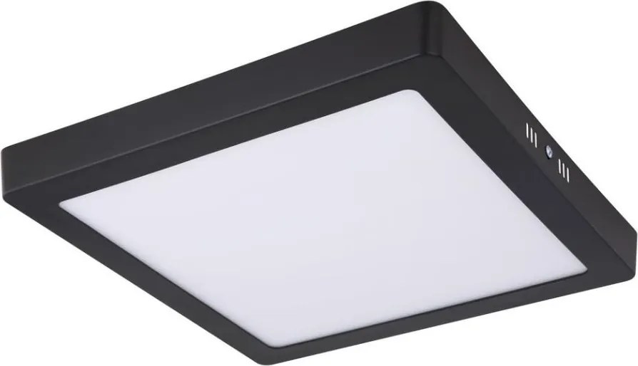 Globo 12374-24 - Plafoniera LED DINO LED/22W/230V