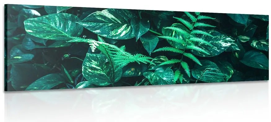 Quadro su tela – Foglie tropicali fresche