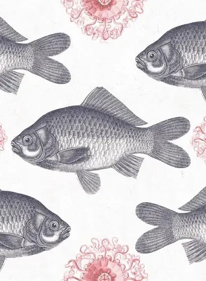 Mindthegap Carta da parati Fish - WP20008
