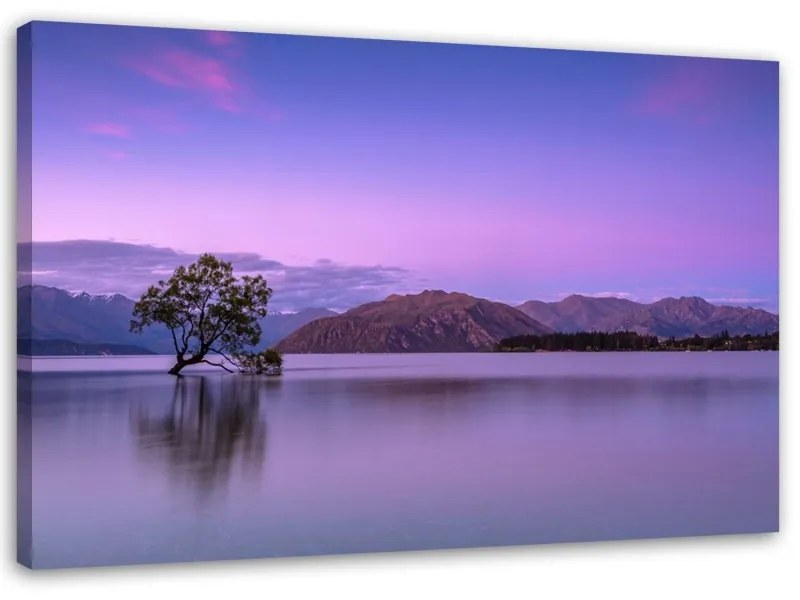 Quadro su tela, Paesaggio albero viola  Dimensioni Tappeti 120x80