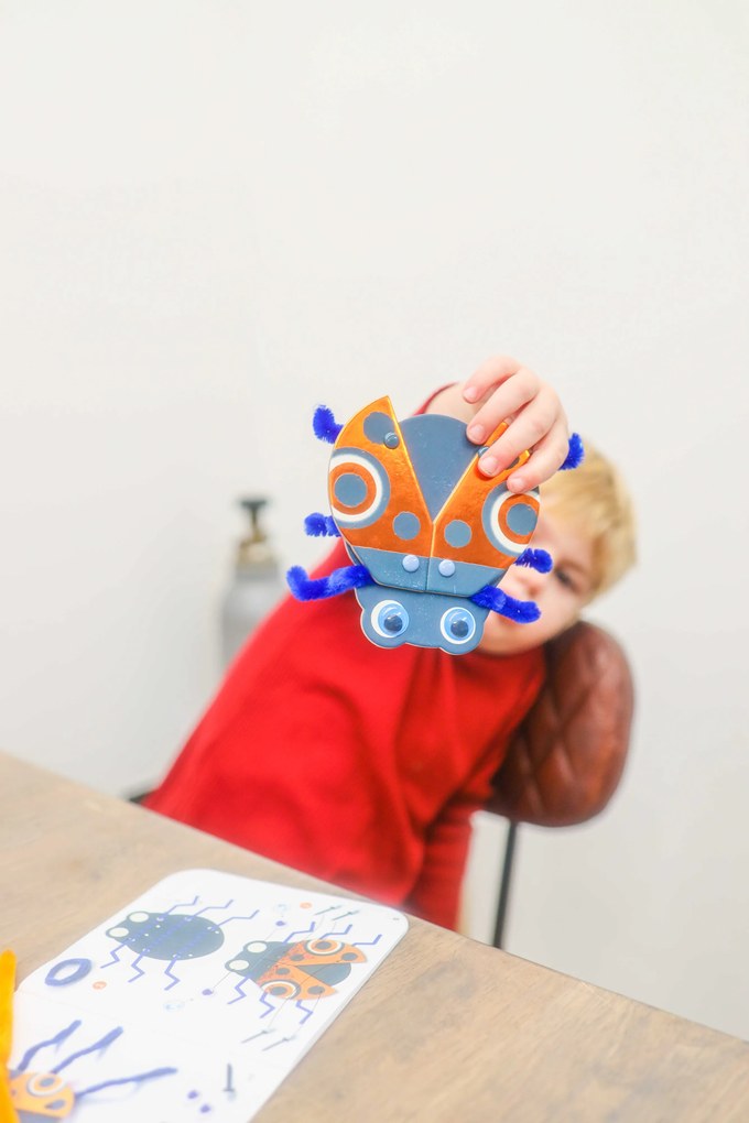 Gioco creativo - Coleotteri