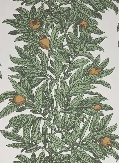 Tapete Medlar von Osborne & Little - Sage/ Amber