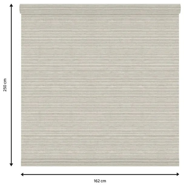 Tessuto per tende a rullo filtrante INSPIRE Darwin beige 162 x 250 cm