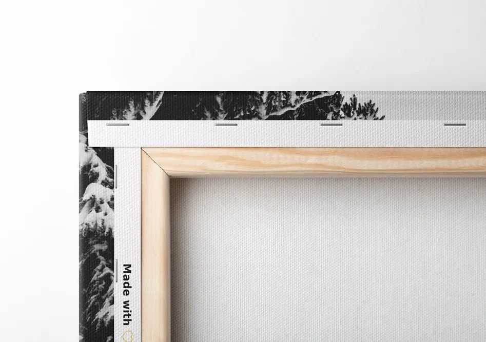 Quadro su tela – Casetta di legno tra pini innevati in bianco e nero
