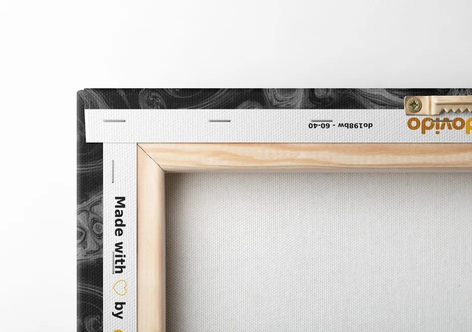 Quadro su tela – Mandala ipnotica in bianco e nero