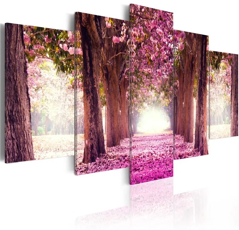 Quadro Segui la bellezza  Colore Rosa, Dimensioni e Misure 100x50