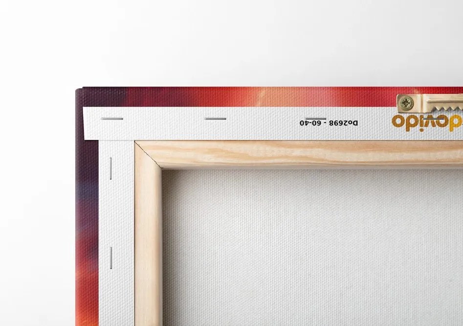 Quadro su tela – Tartaruga con cuffie