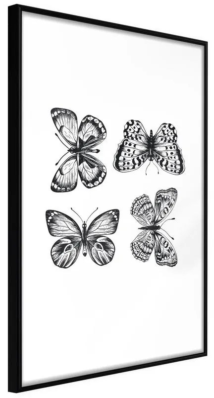 Poster  Butterfly Collection III  Cornice Quadri Cornice nera, Larghezza x Altezza Home decor 30x45