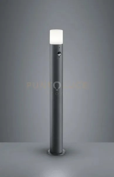 Hoosic palo alto led cilindro antracite e diffusore bianco con sens...