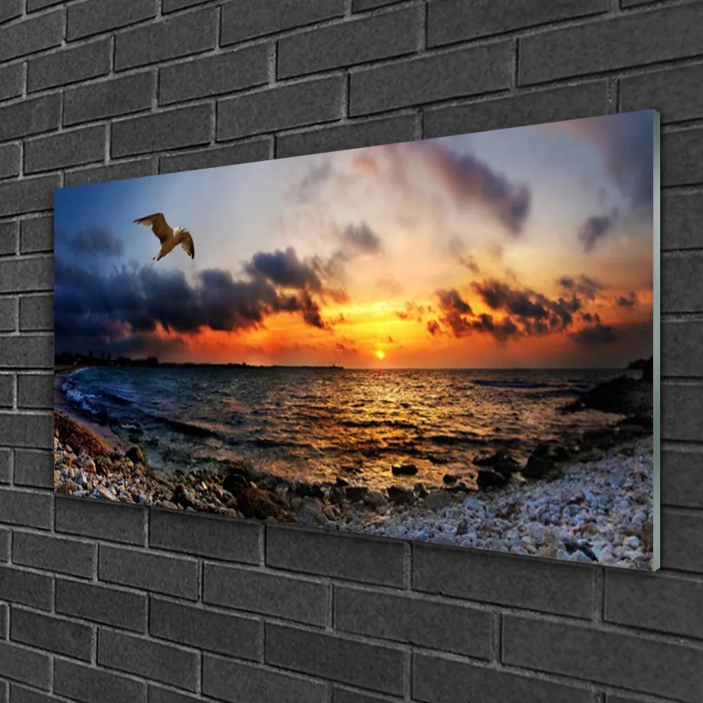 Quadro in vetro Gabbiano mare spiaggia paesaggio 100x50 cm 2 appendini