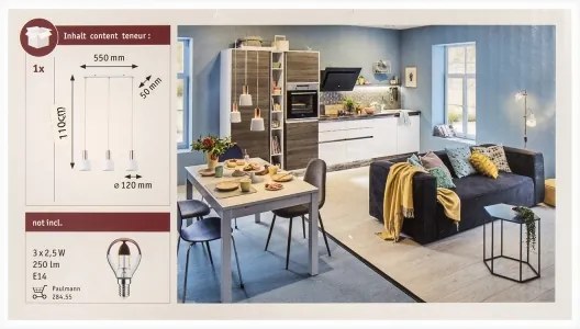 Paulmann 79657 - 3xE14/20W Lampadario a sospensione con filo NEORDIC HALDAR 230V