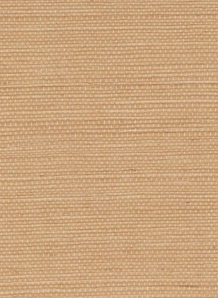 Élitis Tapete Sisal - RM 1069 52