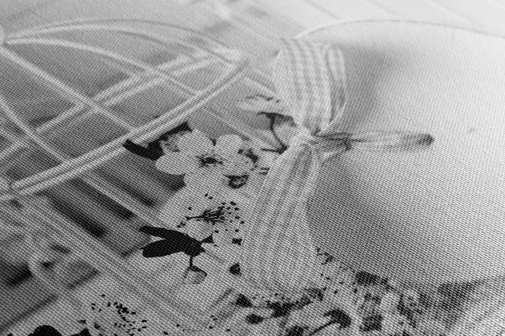 Stampa su tela – Natura morta romantica in stile vintage in bianco e nero