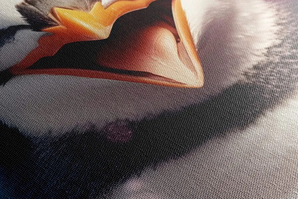 Stampa su tela – Pinguino con cuffie