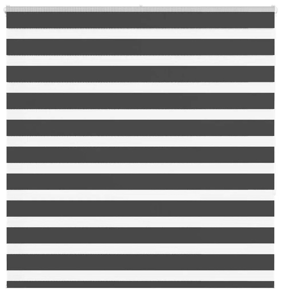 Tenda A Rullo Zebra Nero Larghezza Tessuto 135,9 Cm Poliestere /