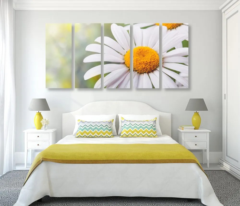Quadri 5 pezzi – Fiori di margherita