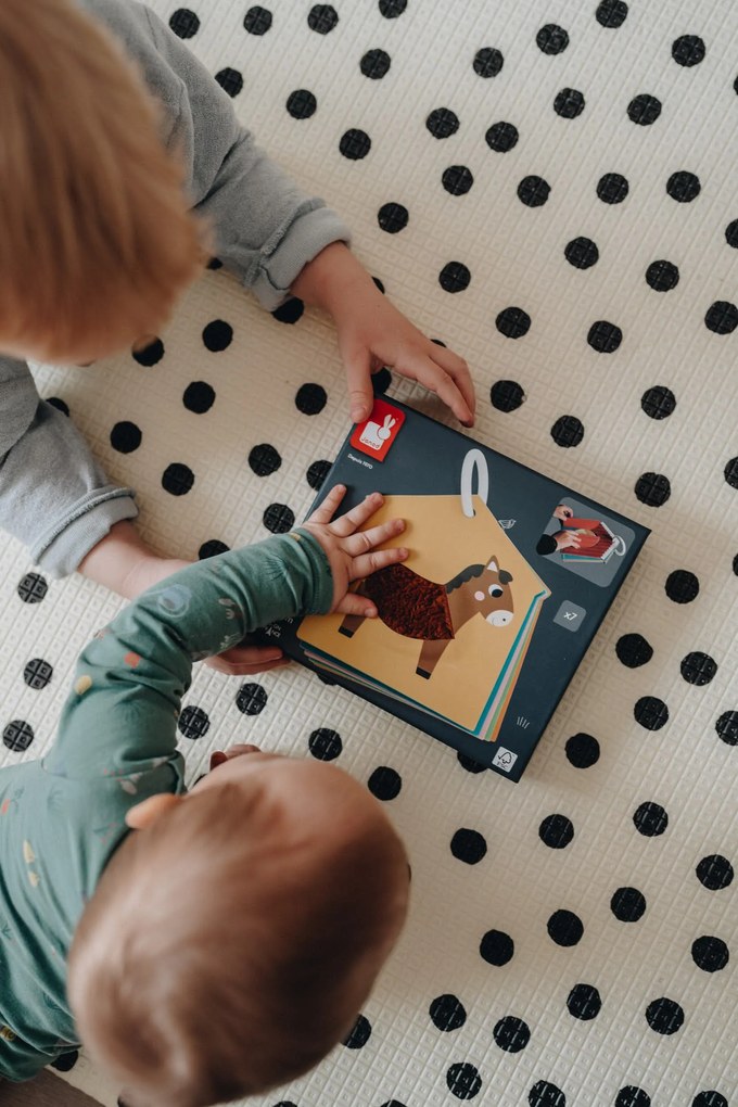 Schede Tattili Della Fattoria