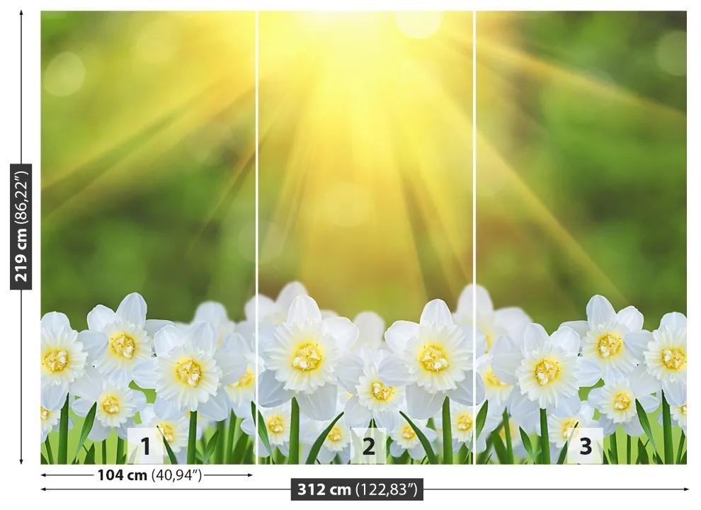 Carta da parati Narcissus White 104x70 cm