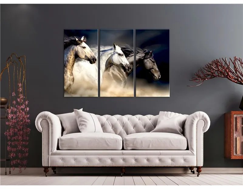 Quadro Sons of the Wind (3 Parts)  Colore Bianco, Dimensioni e Misure 120x80