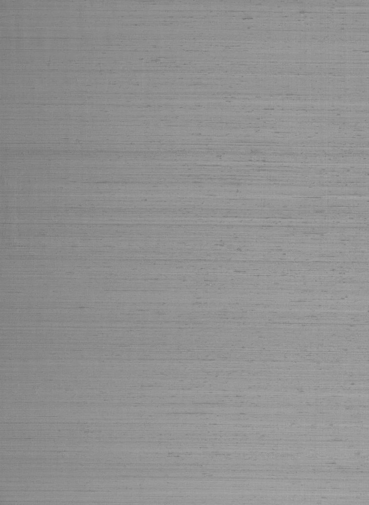 Carta da parati Papillon - Quartzite