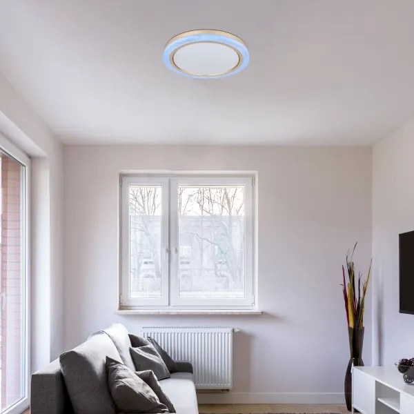 Globo 41372-24 - Plafoniera dimmerabile RGBW BOLLY LED/20W/230V + +TC