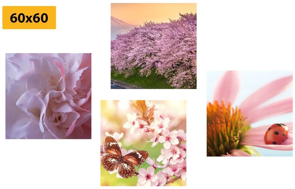 Set di quadri – Fioritura della natura