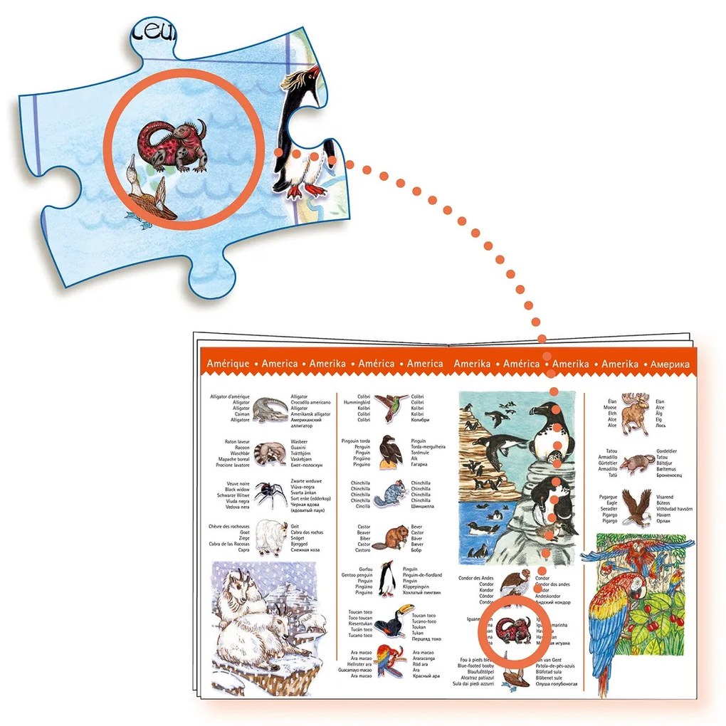 Un puzzle e un gioco di osservazione - animali del mondo - 200 pezzi