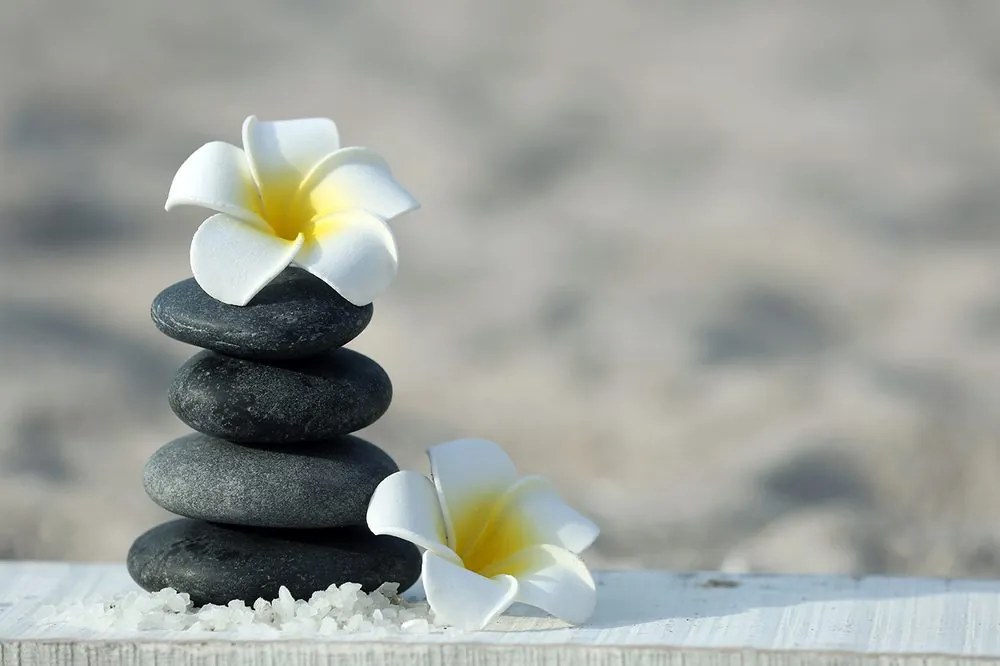 Carta da parati autoadesiva – Pietre armoniche e plumeria