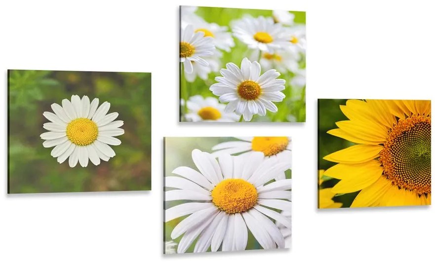 Set di quadri – Fiori di campo