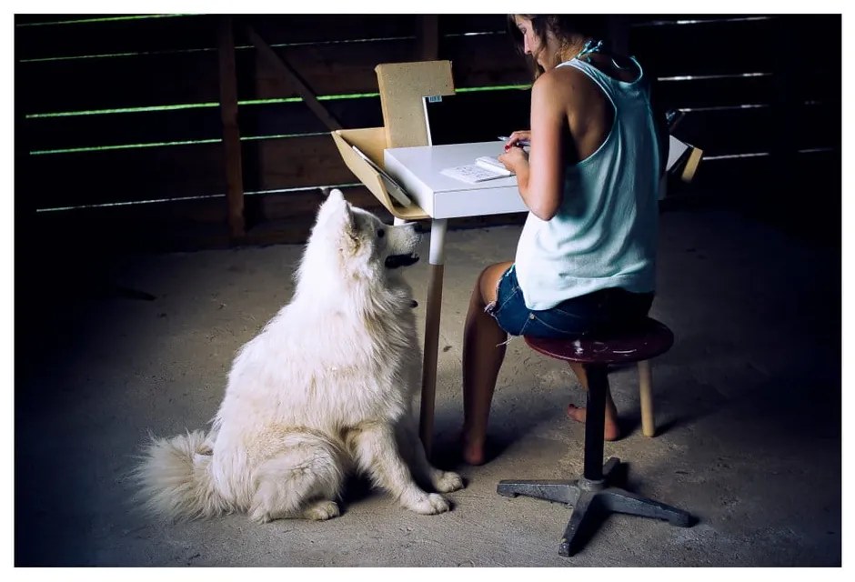 Scrivania bianca con 1 cassetto Scrivania My Writing - EMKO