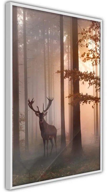 Poster Forest Seclusion