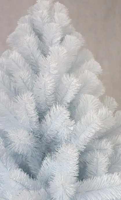 Bellissimo Albero di Natale, abete bianco 150 cm