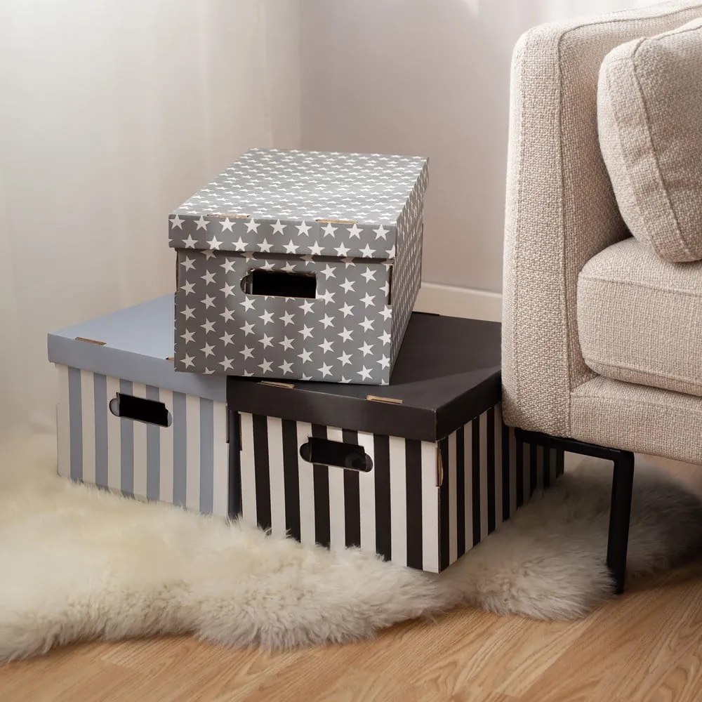 Scatole di cartone con coperchio in set da 2 pezzi Stripes - Compactor