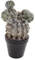 Pianta di Cactus Artificiale con Vaso Altezza 28 cm