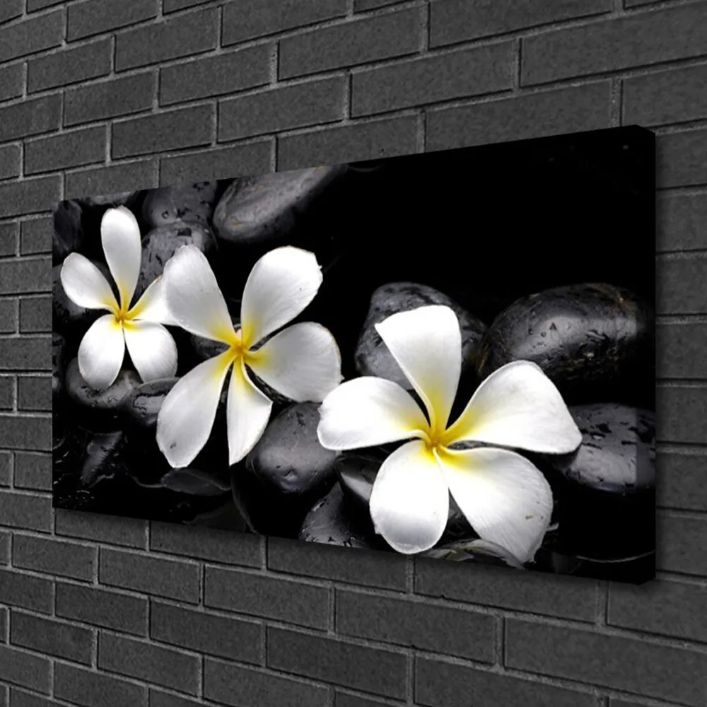 Quadro su tela Fiore della Pianta Plumeria 100x50 cm