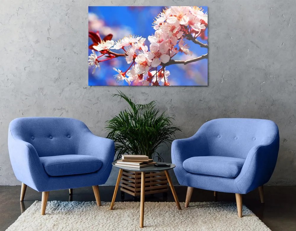 Quadro su tela – Fiore di ciliegio