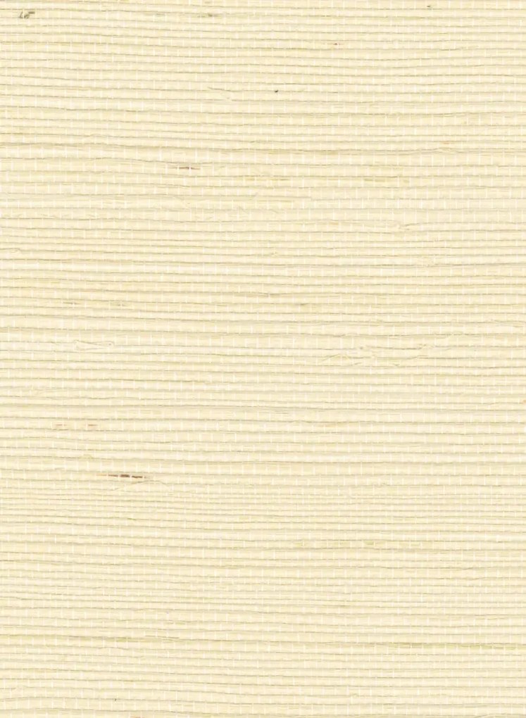 Élitis Tapete Sisal - RM 1069 01