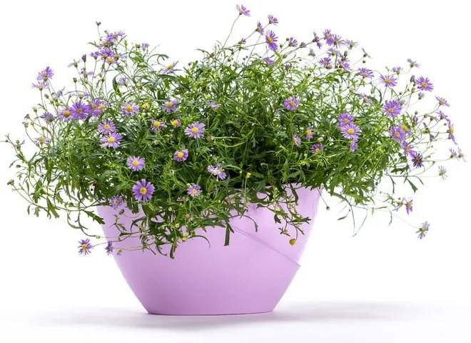 Vaso in plastica autoinnaffiante Doppio - Plastia