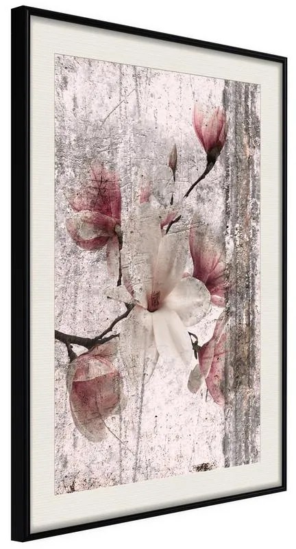 Poster  Queen of Spring Flowers I  Cornice Quadri Cornice nera con pass-partout, Larghezza x Altezza Home decor 40x60