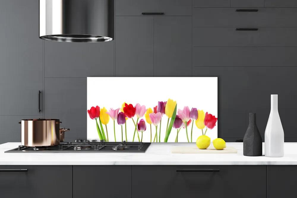 Pannello paraschizzi cucina Tulipani, fiori, piante 100x50 cm