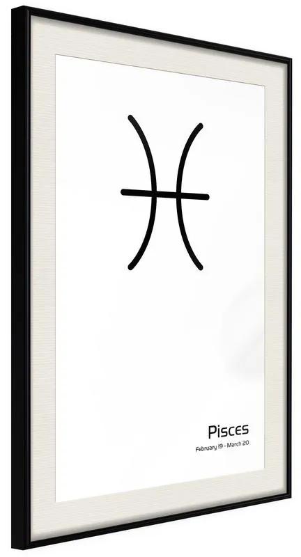 Poster Zodiac: Pisces II