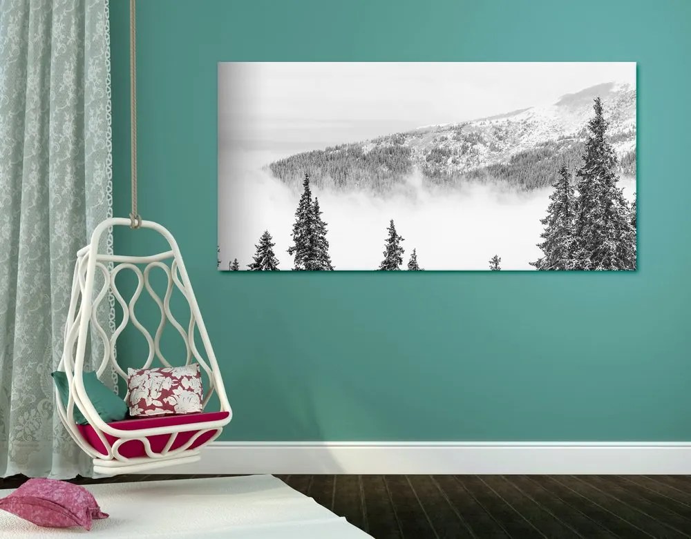 Quadro su tela – Alberi di pino innevati in bianco e nero