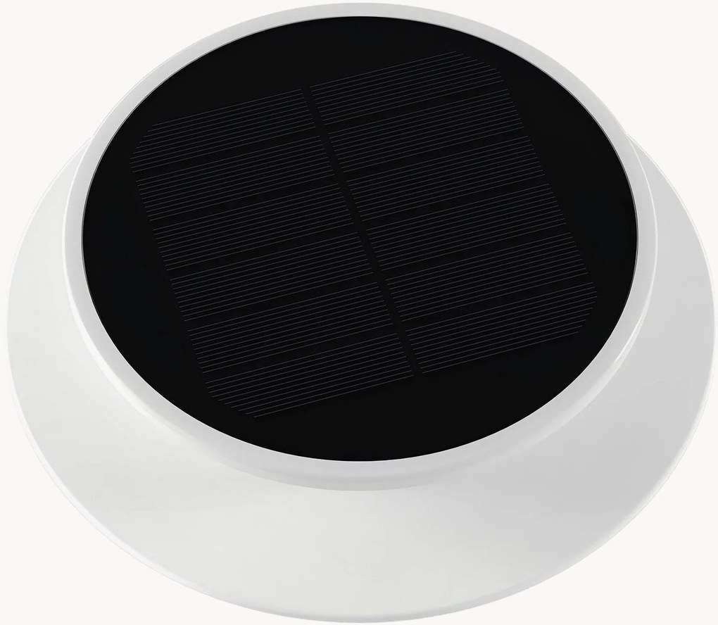 Faretto solare a LED Solia Spike