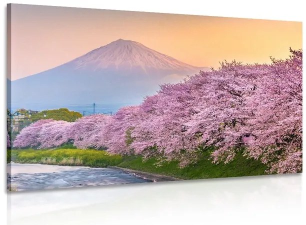 Stampa su tela – Vulcano Fuji del Giappone
