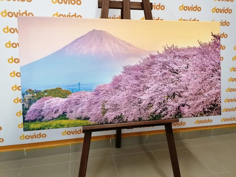 Quadro su tela – Meraviglioso Giappone