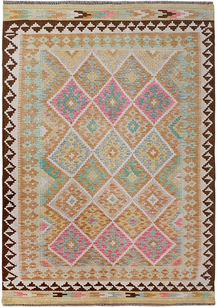 Kilim Tappeto orientale 170 x 240 (Pakistan) Tessuto A Mano