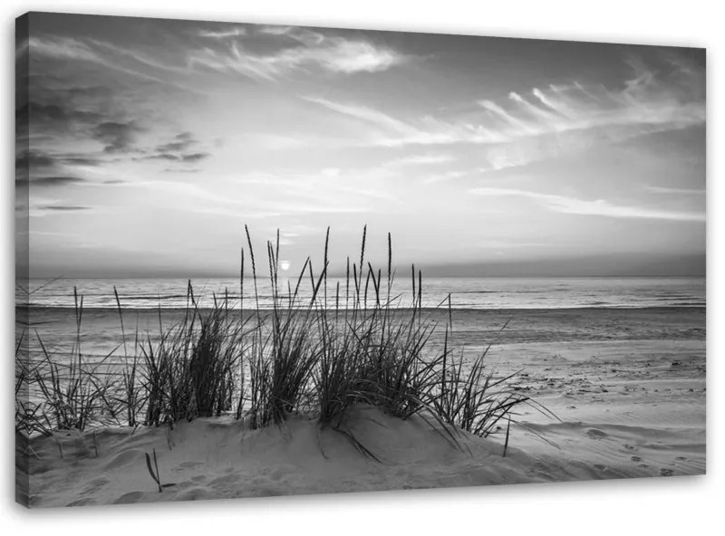 Quadro su tela, Erba sulla spiaggia grigia