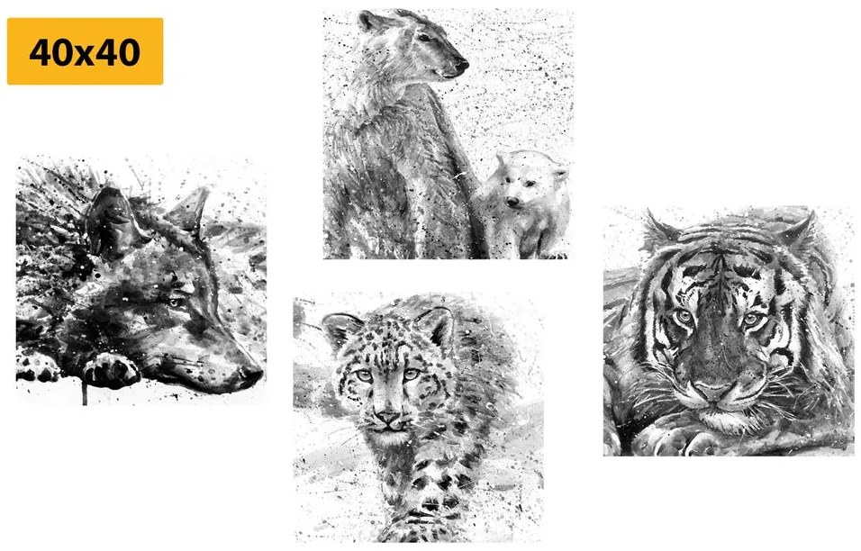 Set di quadri – Animali in versione acquerello in bianco e nero