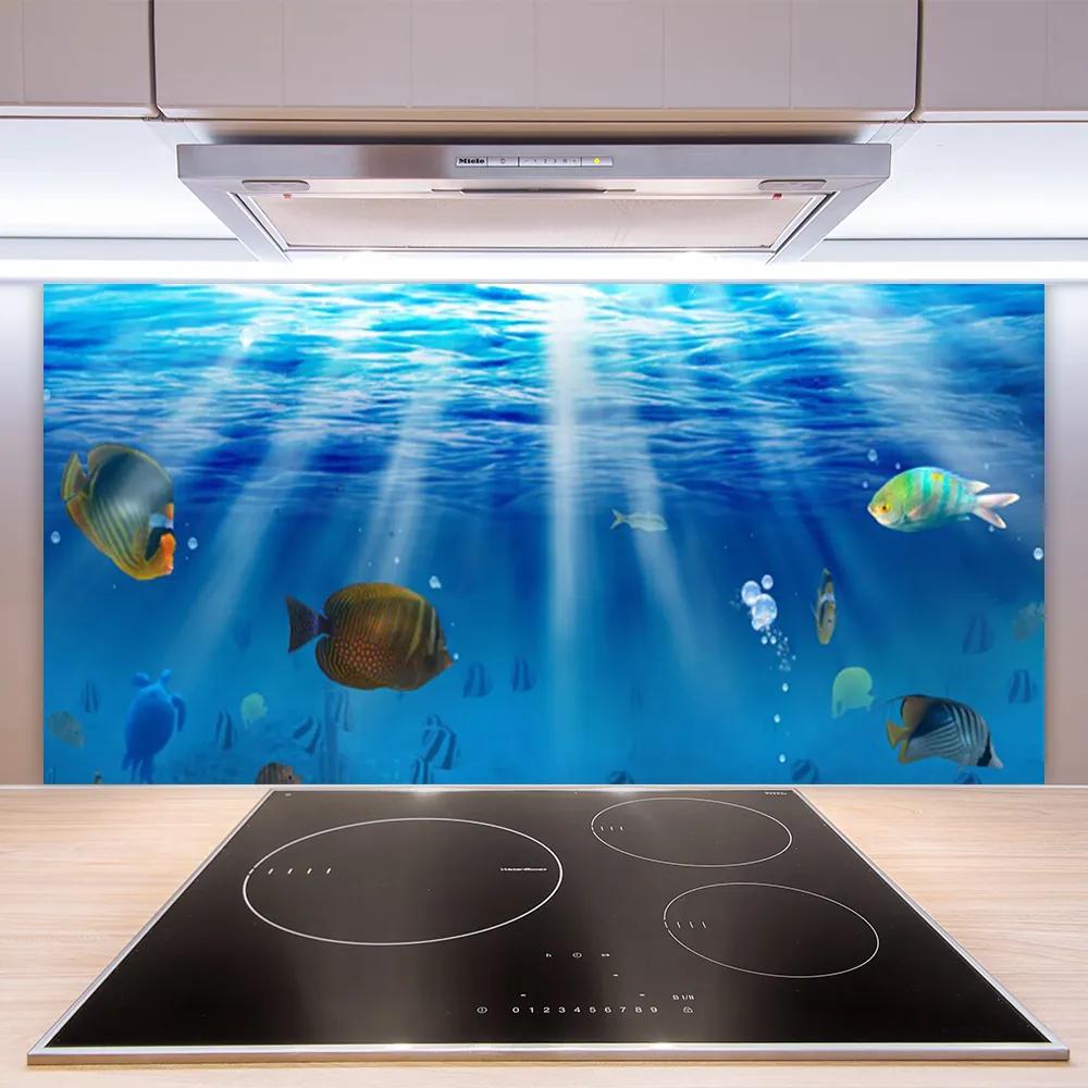 Pannello cucina paraschizzi Pesce della natura 100x50 cm